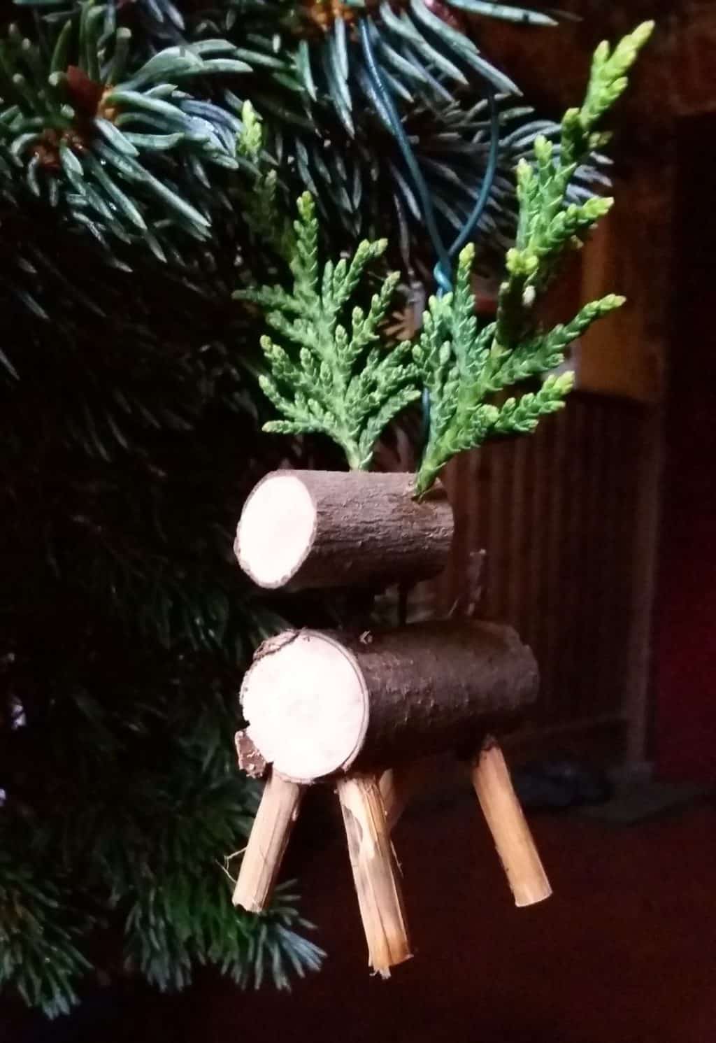 How to make your own ecofriendly Christmas decorations Alde Garden